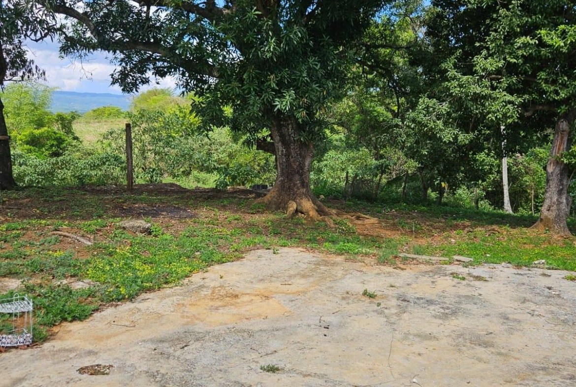 Tenth image of Part of Pepper, st Elizab in Pepper, St. Elizabeth, Jamaica - property is For Sale