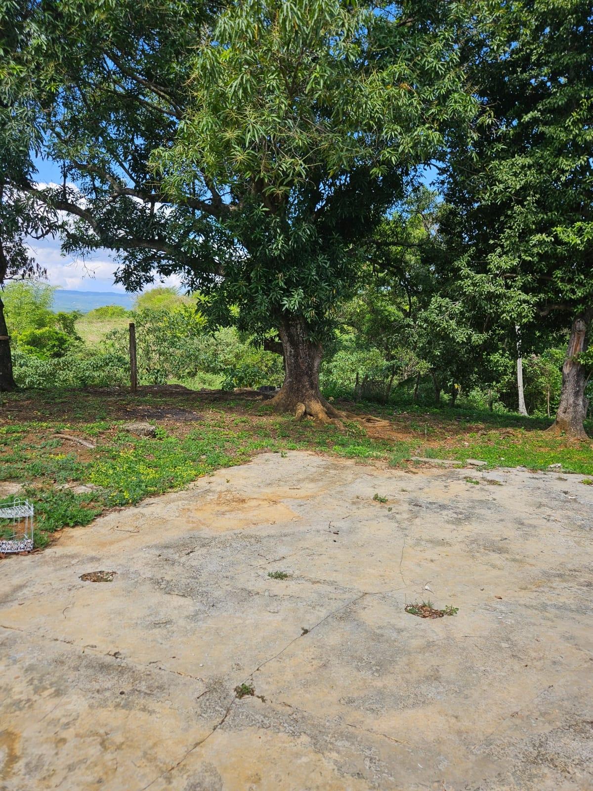 Tenth image of Part of Pepper, st Elizab in Pepper, St. Elizabeth, Jamaica - property is For Sale