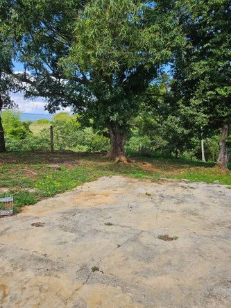 Tenth image of Part of Pepper, st Elizab in Pepper, St. Elizabeth, Jamaica - property is For Sale