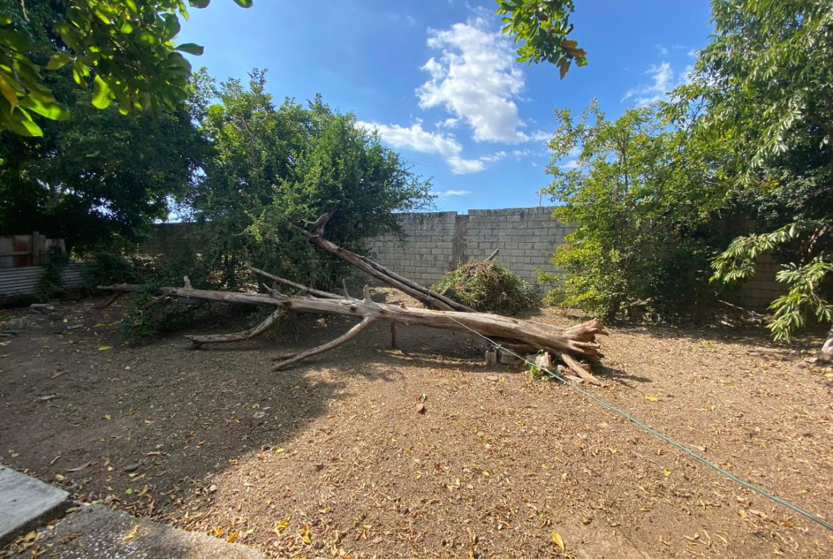 Ninth image of 11 Nightengale Avenue in Kingston 3, St. Andrew, Jamaica - property is For Sale