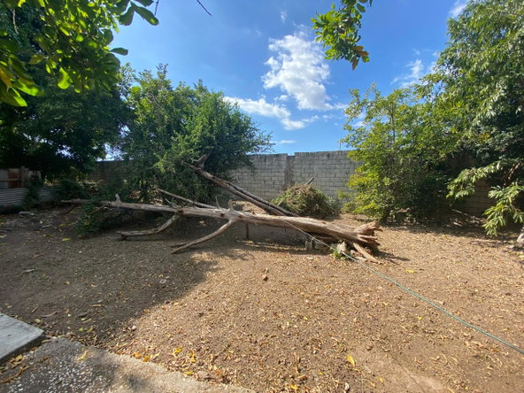 Ninth image of 11 Nightengale Avenue in Kingston 3, St. Andrew, Jamaica - property is For Sale
