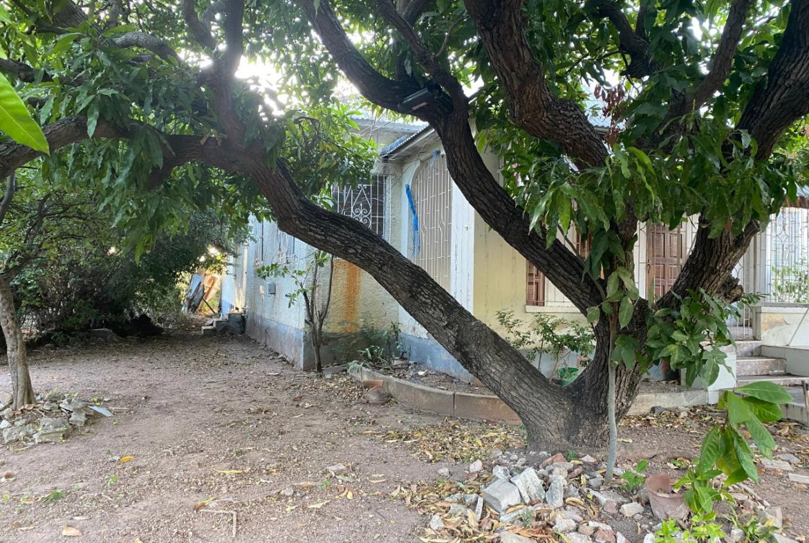 Tenth image of 11 Nightengale Avenue in Kingston 3, St. Andrew, Jamaica - property is For Sale