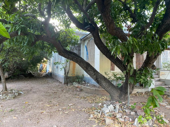 Tenth image of 11 Nightengale Avenue in Kingston 3, St. Andrew, Jamaica - property is For Sale