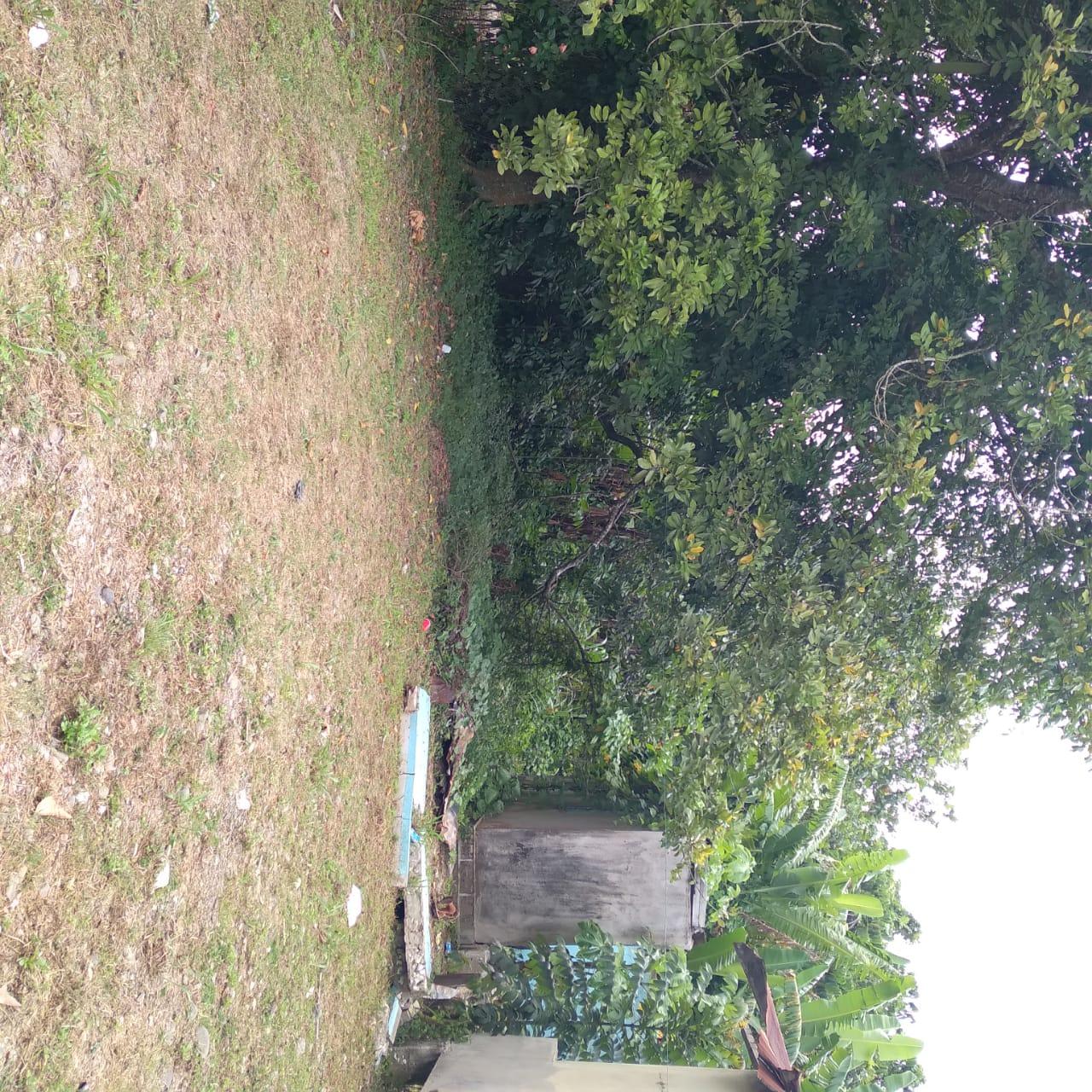 5-Bedroom-Home-on-1.3-Acres-in-St.-Mary-Jamaica-For-Sale Sixth image of 19- Stenett Street in Port Maria, St. Mary, Jamaica - property is For Sale