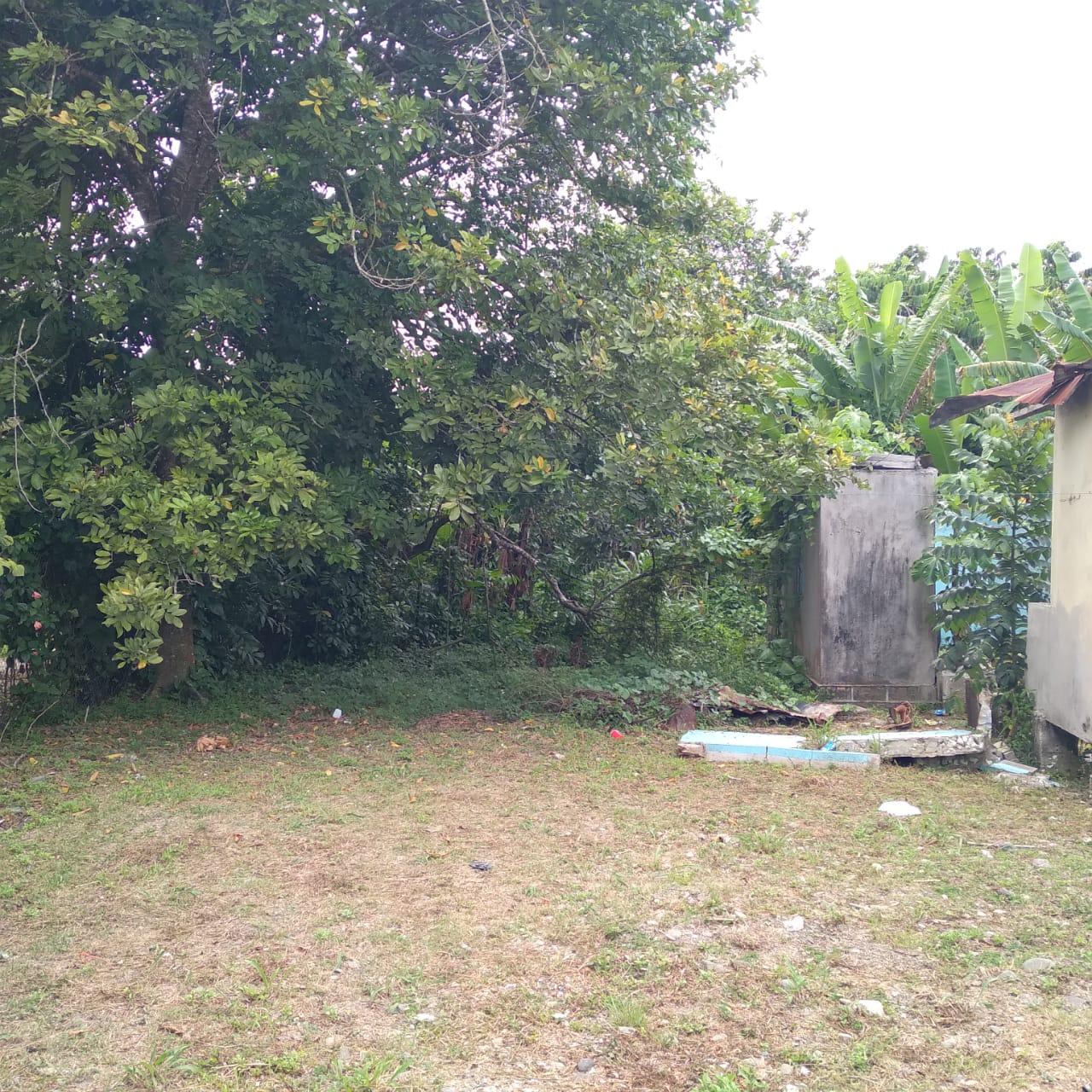5-Bedroom-Home-on-1.3-Acres-in-St.-Mary-Jamaica-For-Sale Eighth image of 19- Stenett Street in Port Maria, St. Mary, Jamaica - property is For Sale
