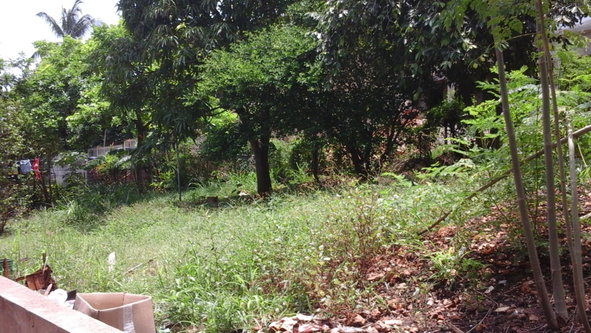 Ninth image of St. Bernard Road, Green a in Green Acres, St. Catherine, Jamaica - property is For Sale