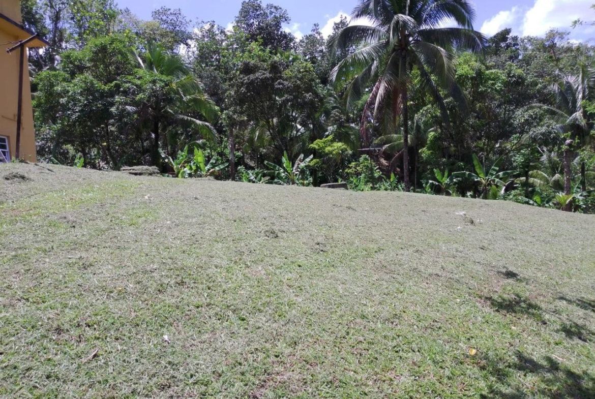 Eleventh image of Lambs River in Lambs River, Westmoreland, Jamaica - property is For Sale