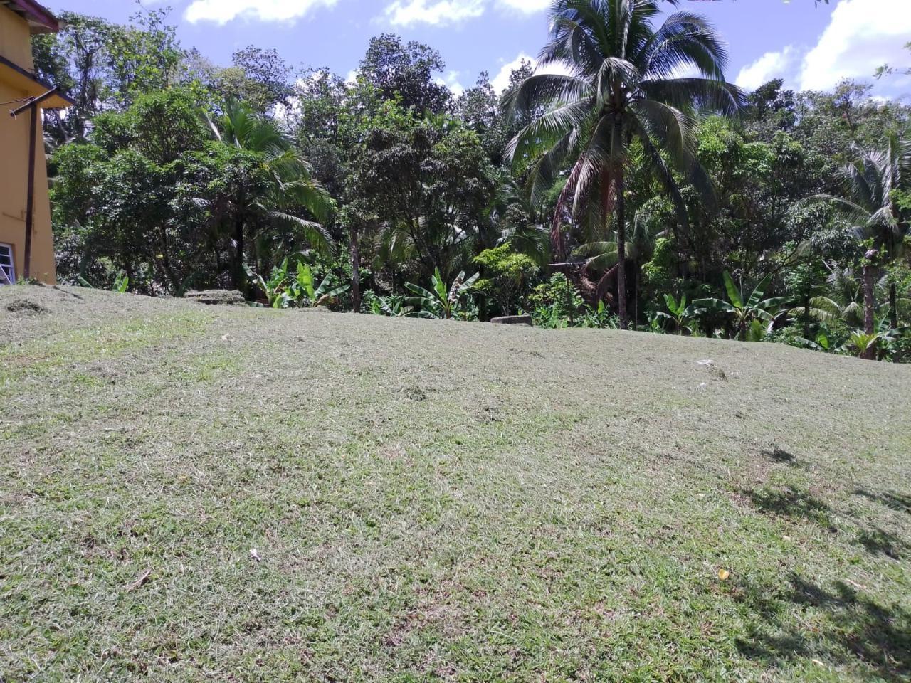 Eleventh image of Lambs River in Lambs River, Westmoreland, Jamaica - property is For Sale