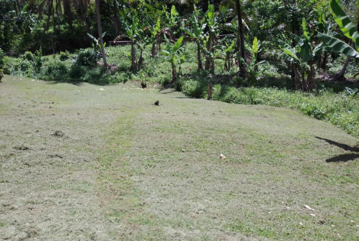 Twenty-Fourth image of Lambs River in Lambs River, Westmoreland, Jamaica - property is For Sale