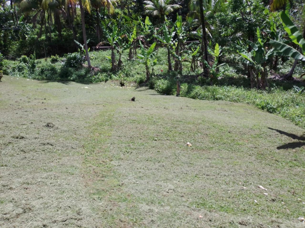 Twenty-Fourth image of Lambs River in Lambs River, Westmoreland, Jamaica - property is For Sale