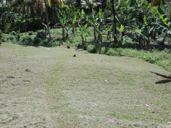 Twenty-Fourth image of Lambs River in Lambs River, Westmoreland, Jamaica - property is For Sale