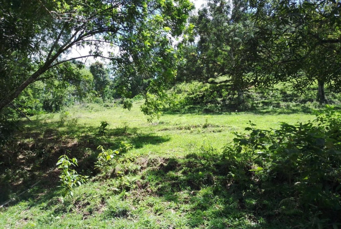 Twenty-Sixth image of Lambs River in Lambs River, Westmoreland, Jamaica - property is For Sale