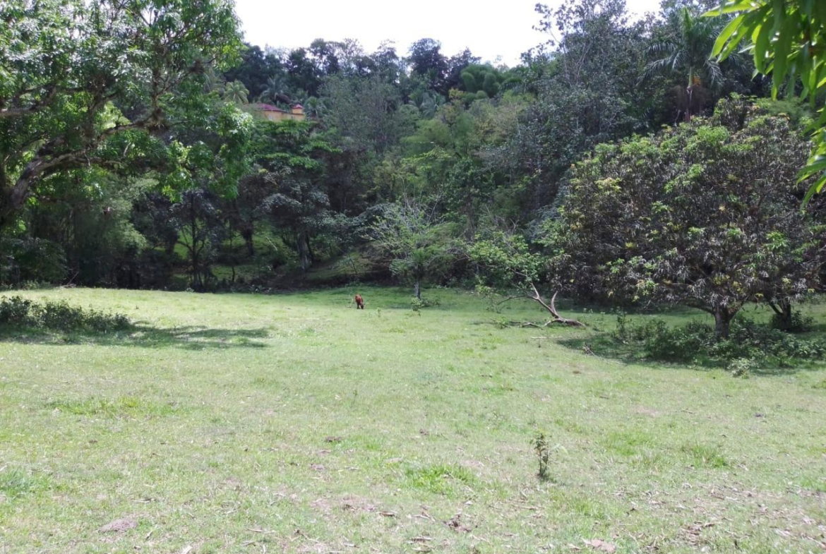 Twenty-Ninth image of Lambs River in Lambs River, Westmoreland, Jamaica - property is For Sale