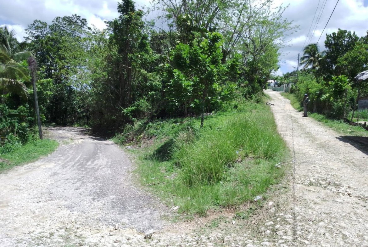 Tenth image of Lambs River in Lambs River, Westmoreland, Jamaica - property is For Sale