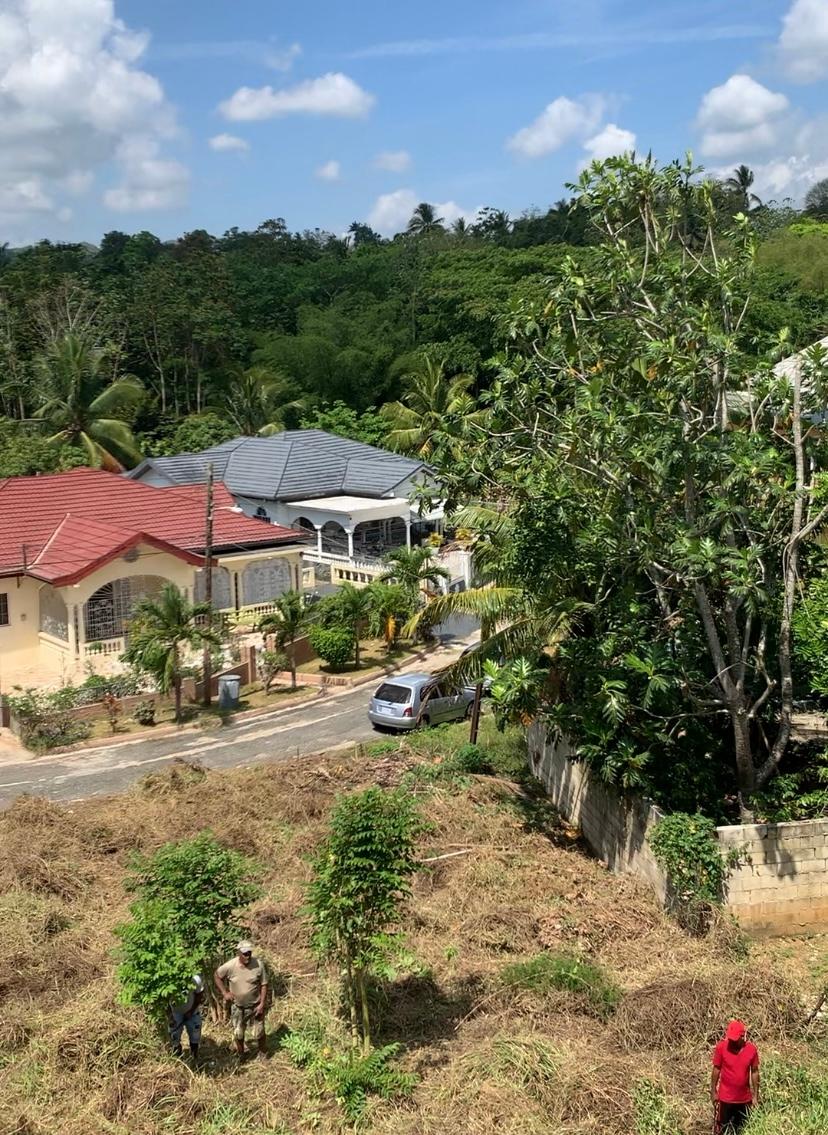 Sixteenth image of 87 Clifton Farm in Linstead, St. Catherine, Jamaica - property is For Sale
