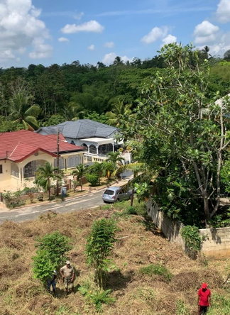 Sixteenth image of 87 Clifton Farm in Linstead, St. Catherine, Jamaica - property is For Sale