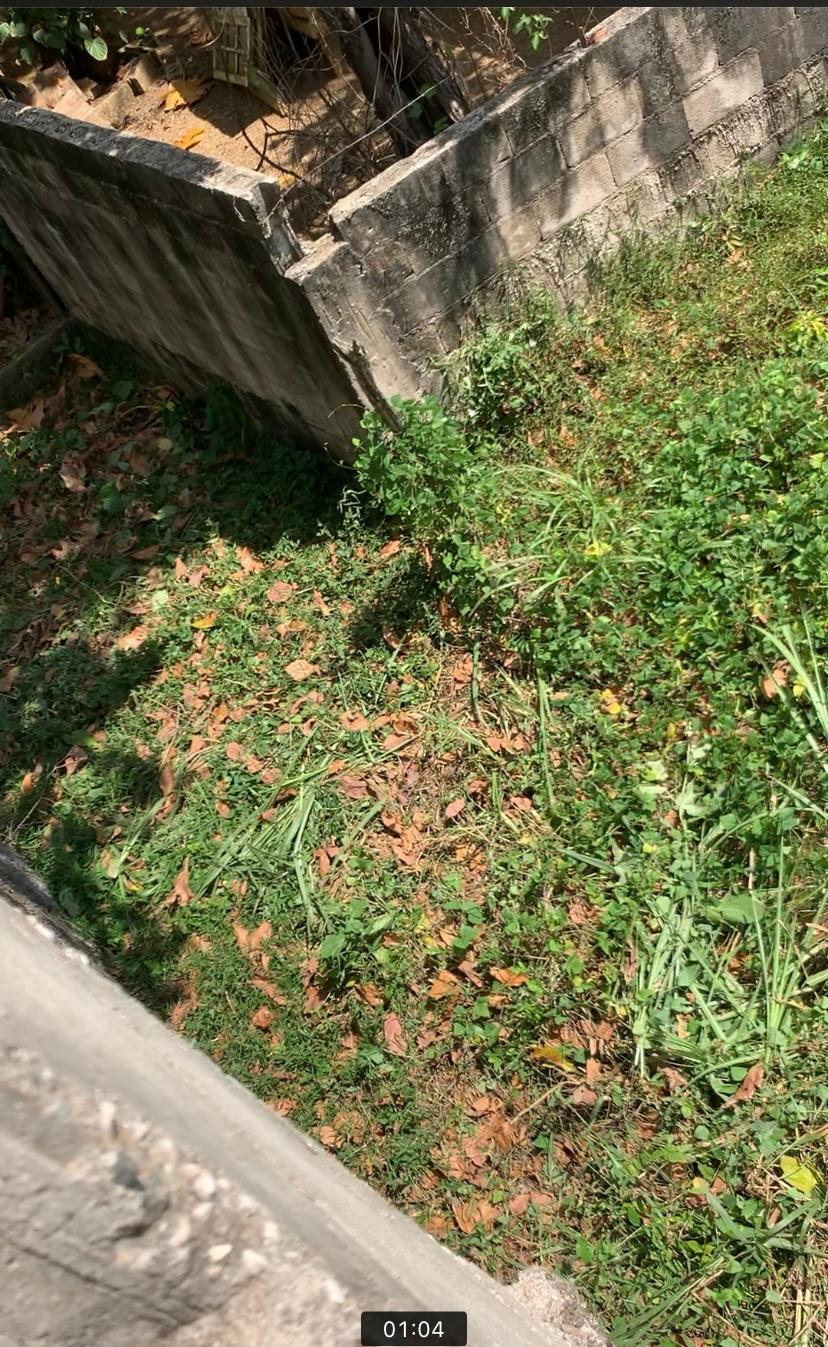 Twenty-Third image of 87 Clifton Farm in Linstead, St. Catherine, Jamaica - property is For Sale
