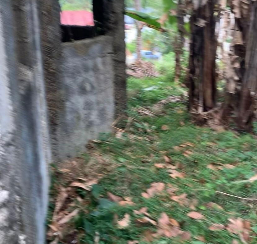 Sixth image of 87 Clifton Farm in Linstead, St. Catherine, Jamaica - property is For Sale