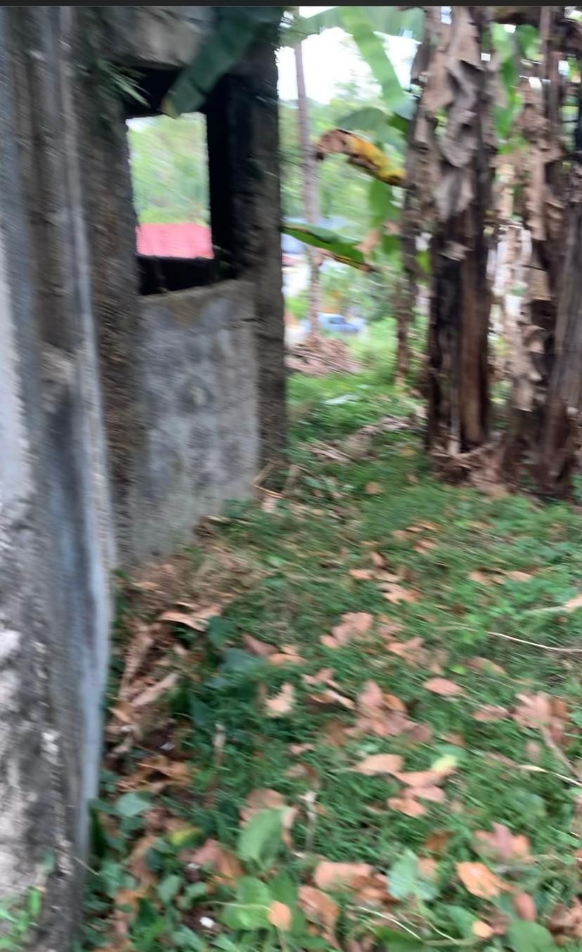 Sixth image of 87 Clifton Farm in Linstead, St. Catherine, Jamaica - property is For Sale