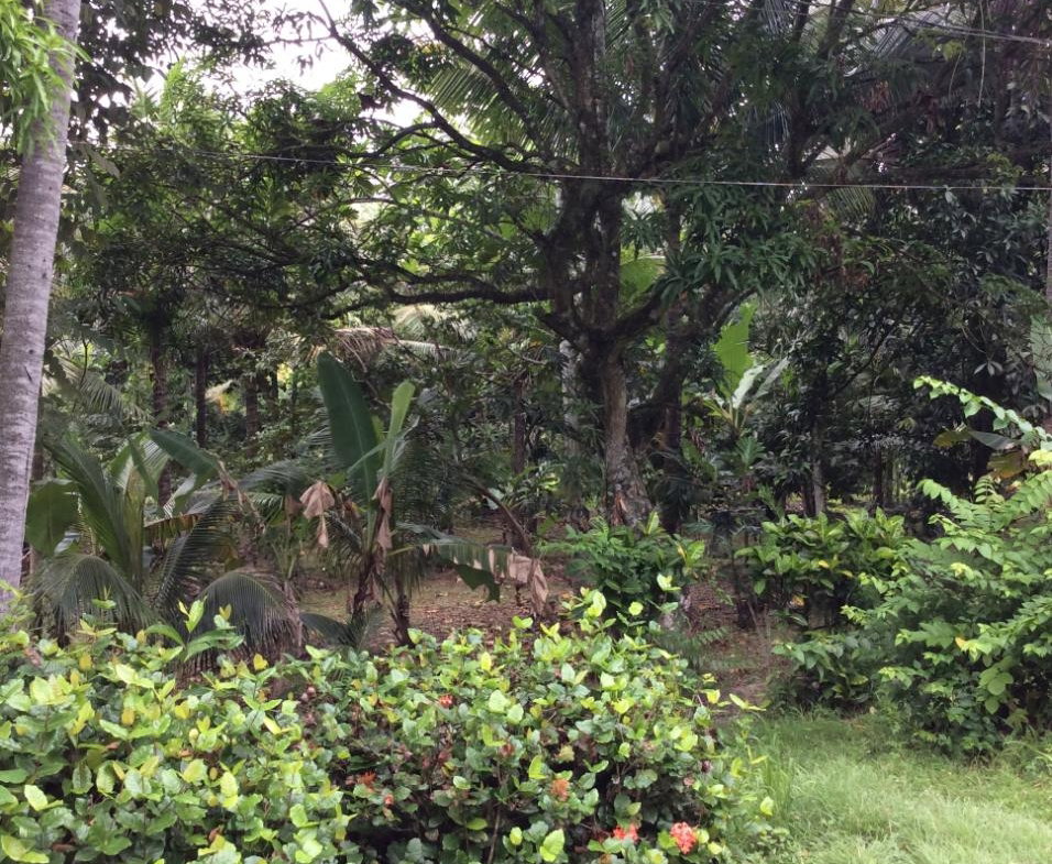 Second image of 73 Melbourne Blvd Upper Rose in Linstead, St. Catherine, Jamaica - property is For Sale