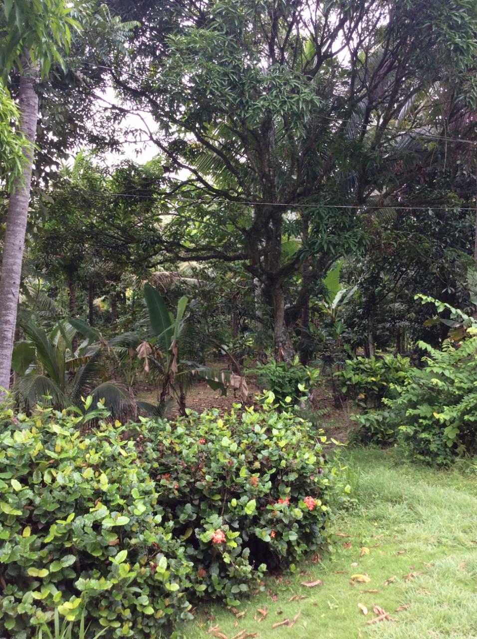 Second image of 73 Melbourne Blvd Upper Rose in Linstead, St. Catherine, Jamaica - property is For Sale