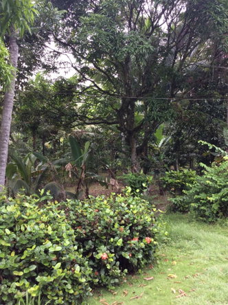 Second image of 73 Melbourne Blvd Upper Rose in Linstead, St. Catherine, Jamaica - property is For Sale