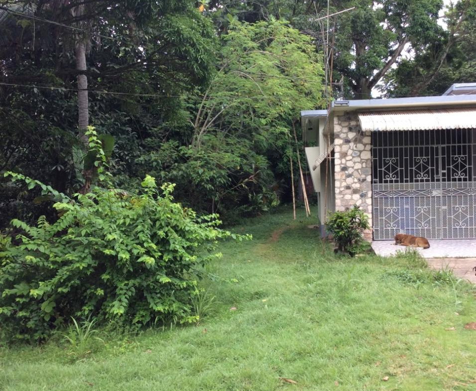 Third image of 73 Melbourne Blvd Upper Rose in Linstead, St. Catherine, Jamaica - property is For Sale