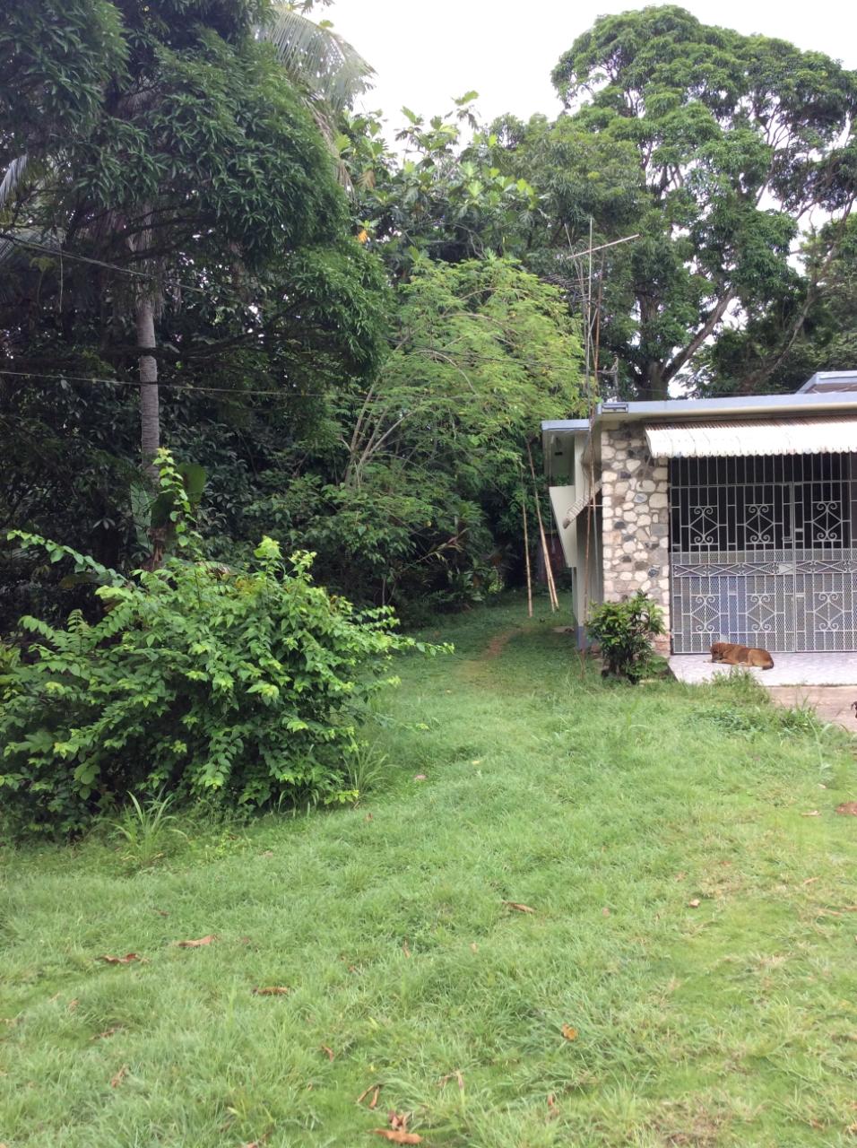 Third image of 73 Melbourne Blvd Upper Rose in Linstead, St. Catherine, Jamaica - property is For Sale