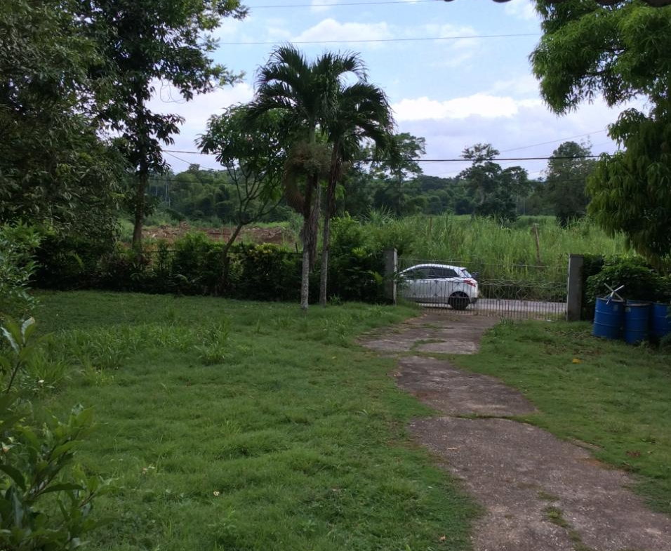 Twenty-Eighth image of 73 Melbourne Blvd Upper Rose in Linstead, St. Catherine, Jamaica - property is For Sale