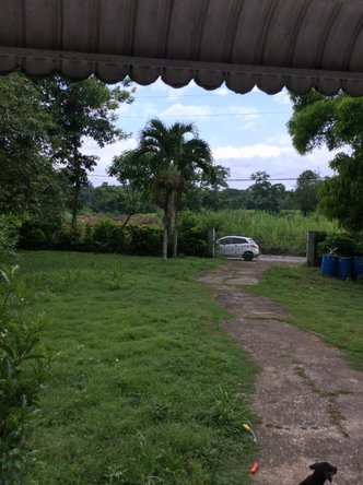 Twenty-Eighth image of 73 Melbourne Blvd Upper Rose in Linstead, St. Catherine, Jamaica - property is For Sale