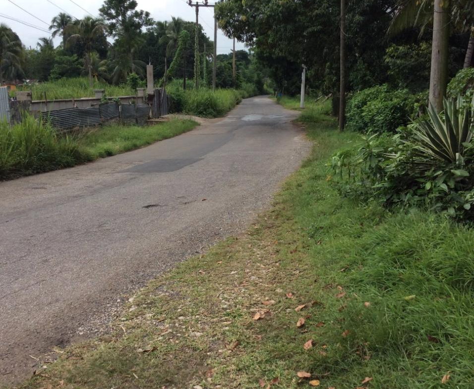 Twenty-Ninth image of 73 Melbourne Blvd Upper Rose in Linstead, St. Catherine, Jamaica - property is For Sale