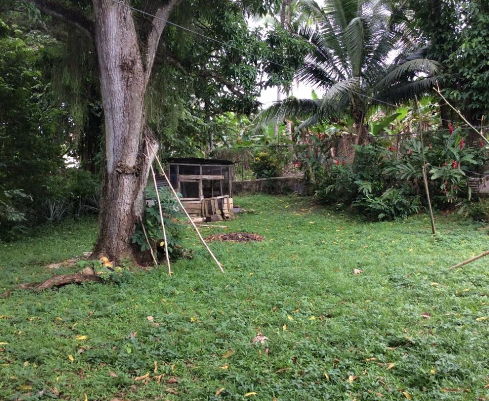 Sixth image of 73 Melbourne Blvd Upper Rose in Linstead, St. Catherine, Jamaica - property is For Sale