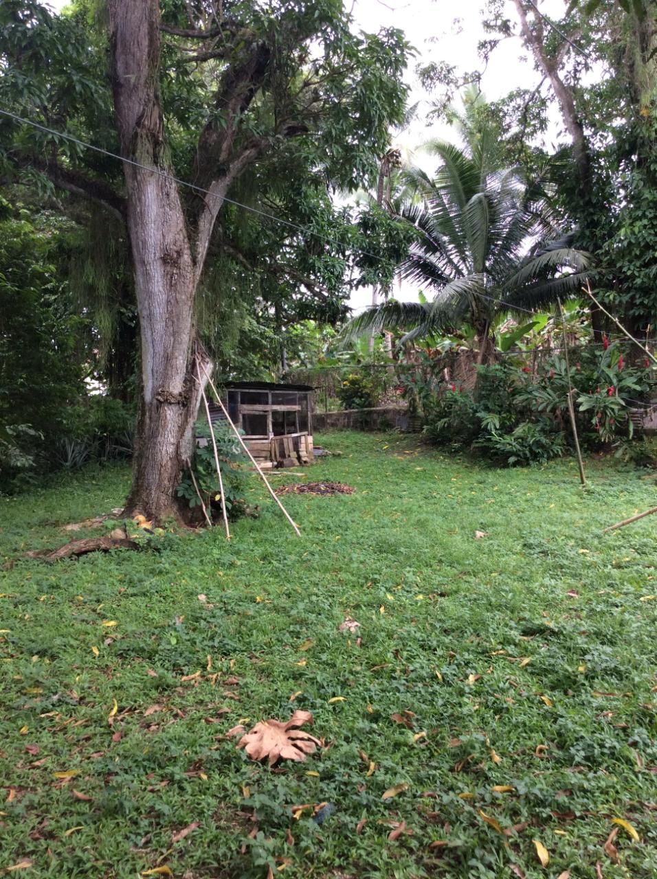 Sixth image of 73 Melbourne Blvd Upper Rose in Linstead, St. Catherine, Jamaica - property is For Sale