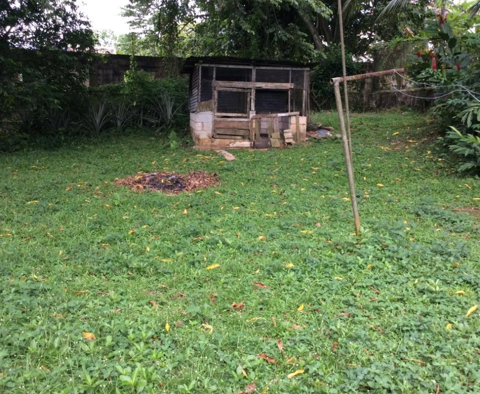 Eighth image of 73 Melbourne Blvd Upper Rose in Linstead, St. Catherine, Jamaica - property is For Sale