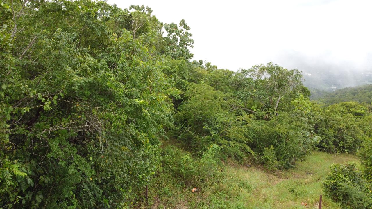 Second image of Windover, Sligoville in Sligoville, St. Catherine, Jamaica - property is For Sale