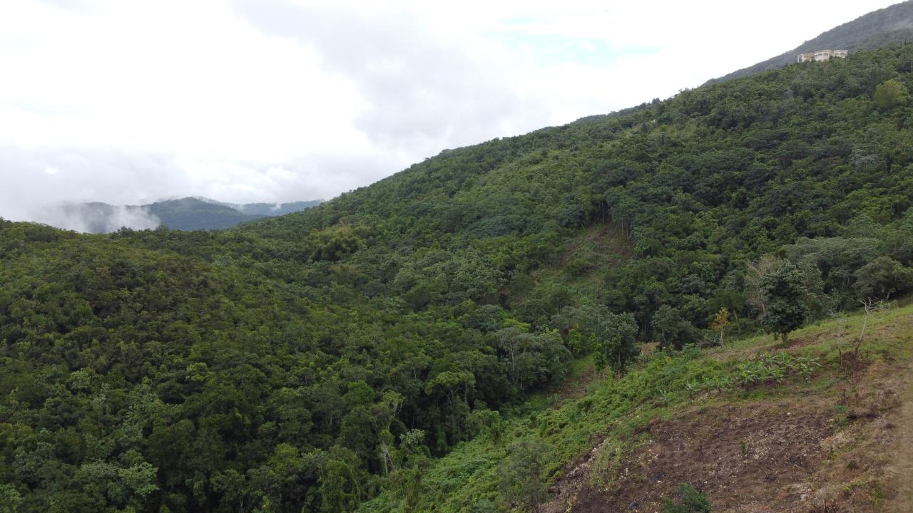 Eleventh image of Windover, Sligoville in Sligoville, St. Catherine, Jamaica - property is For Sale