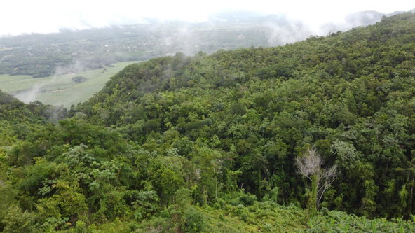 Twelfth image of Windover, Sligoville in Sligoville, St. Catherine, Jamaica - property is For Sale