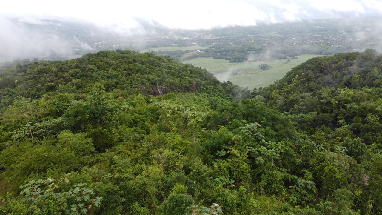 Thirteenth image of Windover, Sligoville in Sligoville, St. Catherine, Jamaica - property is For Sale