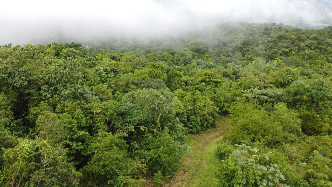 Fourteenth image of Windover, Sligoville in Sligoville, St. Catherine, Jamaica - property is For Sale