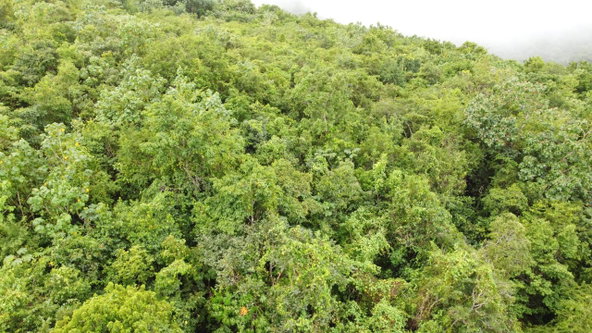 Fifteenth image of Windover, Sligoville in Sligoville, St. Catherine, Jamaica - property is For Sale