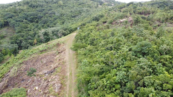 Sixteenth image of Windover, Sligoville in Sligoville, St. Catherine, Jamaica - property is For Sale