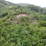 First image of Windover, Sligoville in Sligoville, St. Catherine, Jamaica - property is For Sale