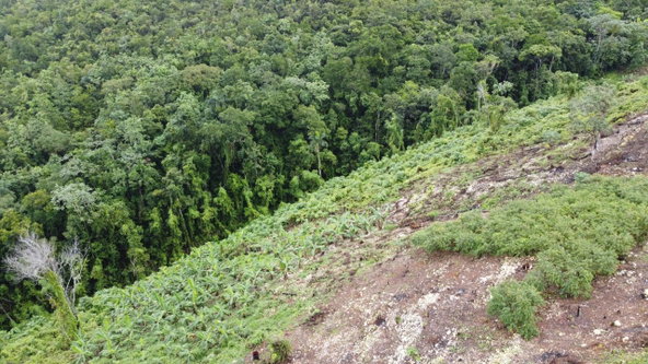 Seventeenth image of Windover, Sligoville in Sligoville, St. Catherine, Jamaica - property is For Sale