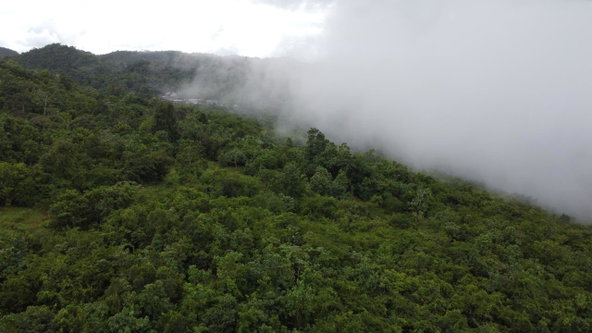 Nineteenth image of Windover, Sligoville in Sligoville, St. Catherine, Jamaica - property is For Sale