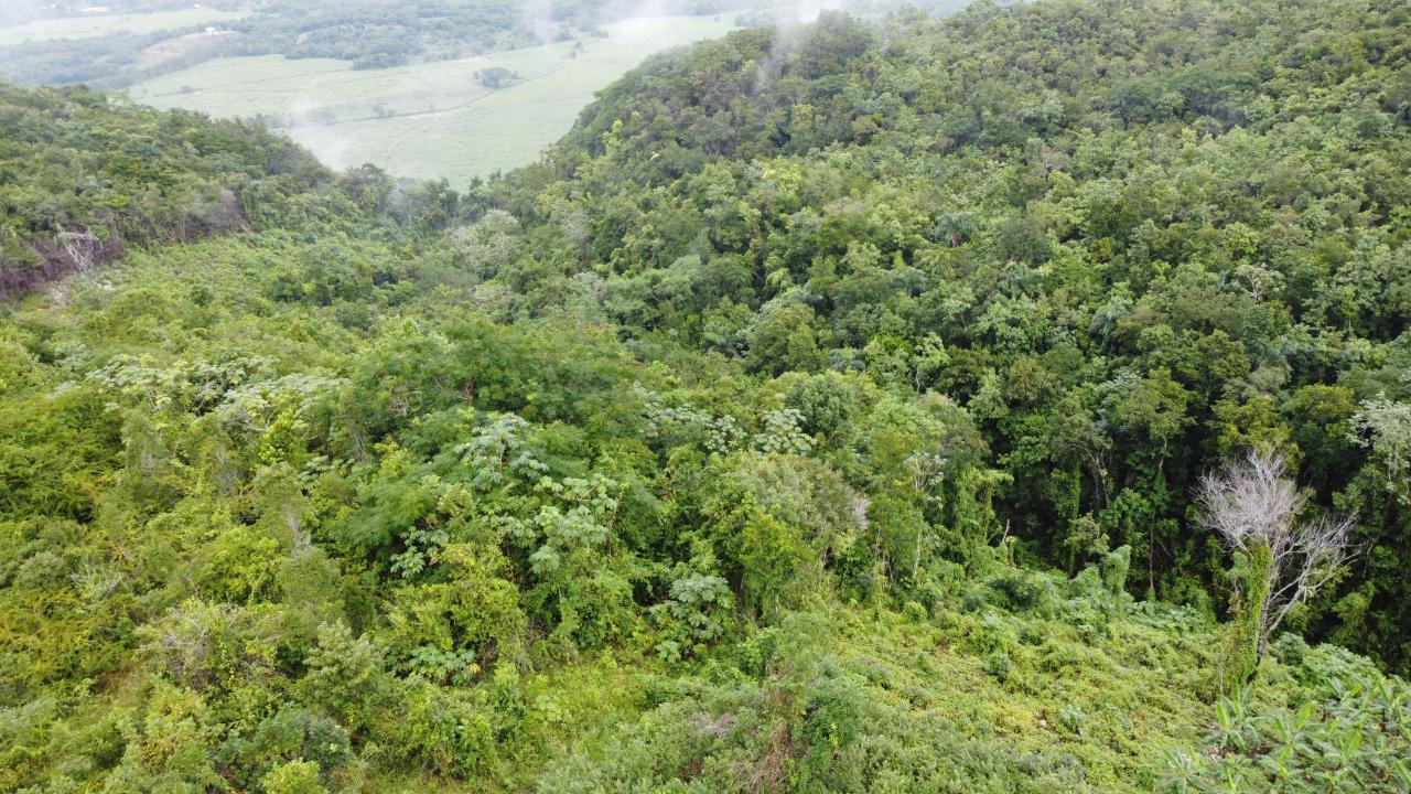 Twenty-First image of Windover, Sligoville in Sligoville, St. Catherine, Jamaica - property is For Sale