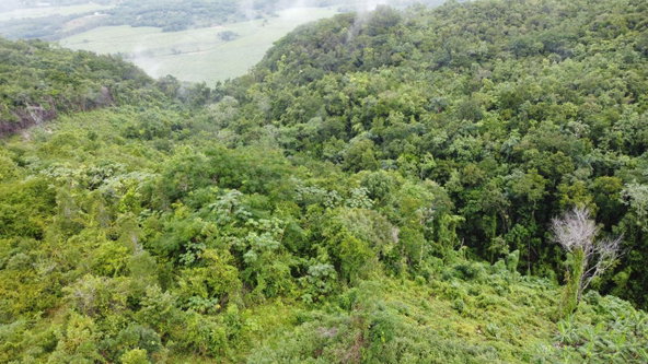 Twenty-First image of Windover, Sligoville in Sligoville, St. Catherine, Jamaica - property is For Sale