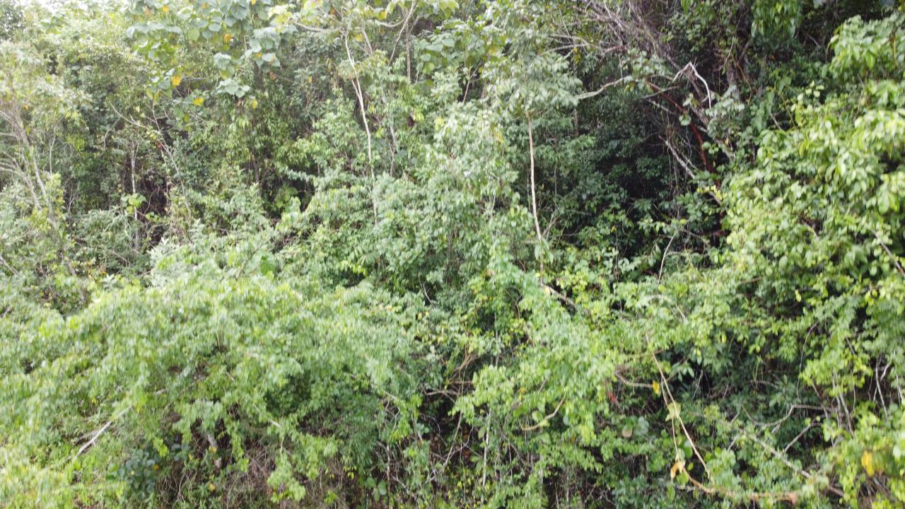 Fourth image of Windover, Sligoville in Sligoville, St. Catherine, Jamaica - property is For Sale