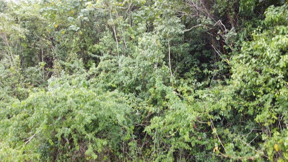 Fourth image of Windover, Sligoville in Sligoville, St. Catherine, Jamaica - property is For Sale