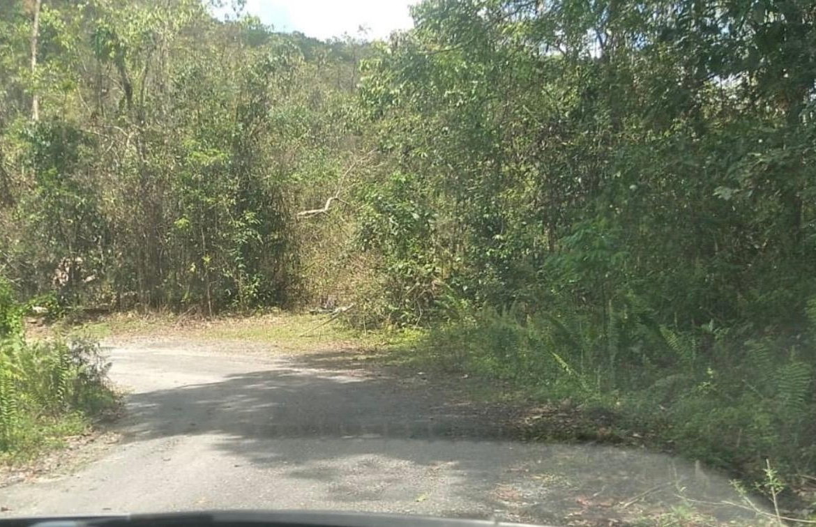 First image of 61 Great Valley, Hanover in Great Valley, Hanover, Jamaica - property is For Sale