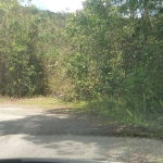 First image of 61 Great Valley, Hanover in Great Valley, Hanover, Jamaica - property is For Sale